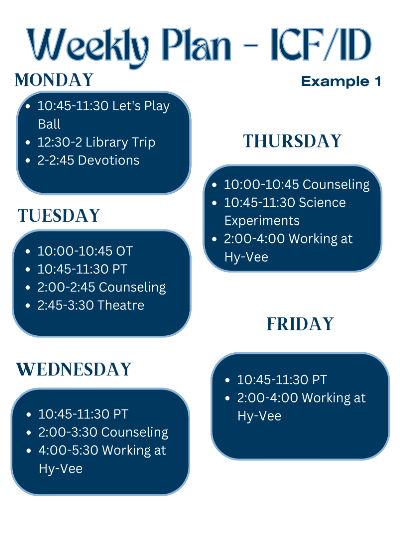 ICF/ID Example Schedule 1