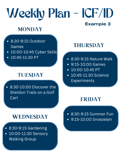 ICF/ID Example Schedule 3